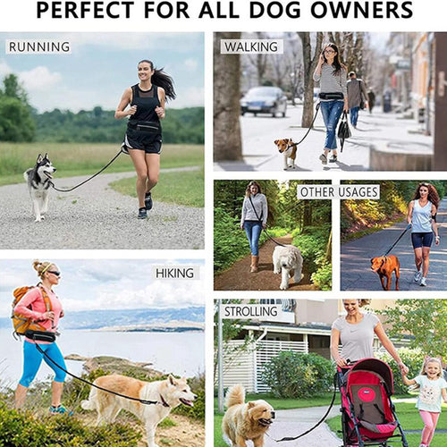 Adjustable Hands-Free Bungee Dog Leash with Waist Belt