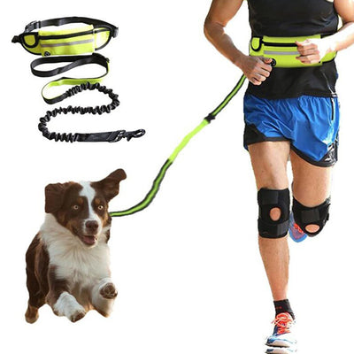 Adjustable Hands-Free Bungee Dog Leash with Waist Belt