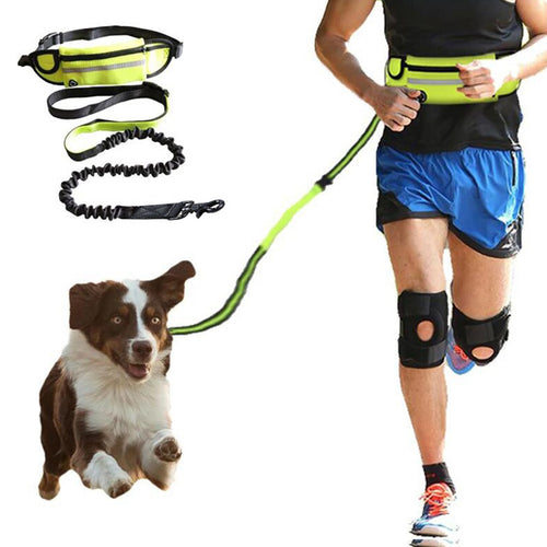 Adjustable Hands-Free Bungee Dog Leash with Waist Belt