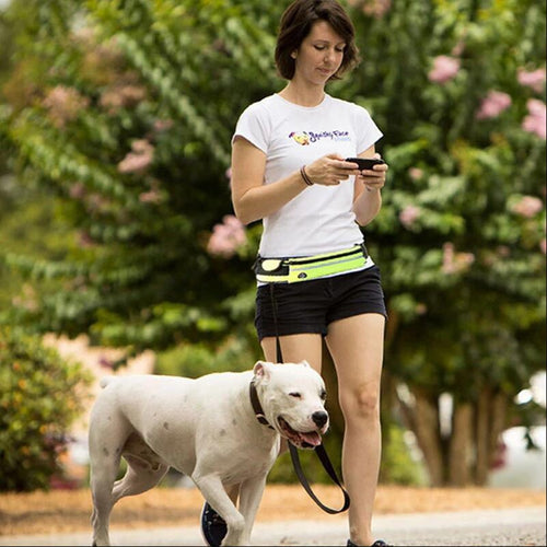 Adjustable Hands-Free Bungee Dog Leash with Waist Belt
